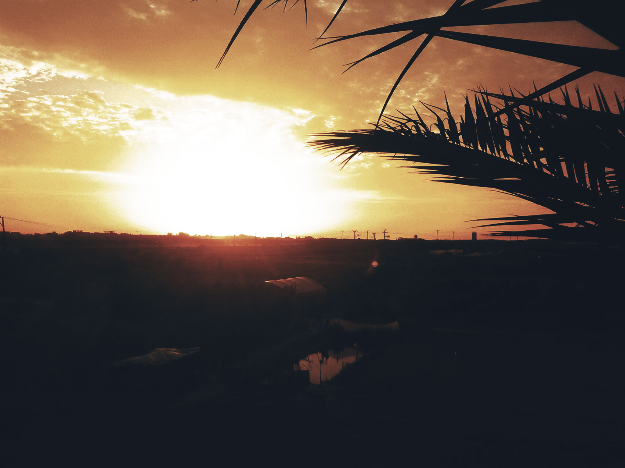 bntpal_1461460009_37