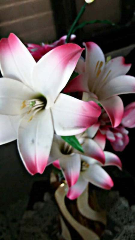 bntpal_1461511377_39