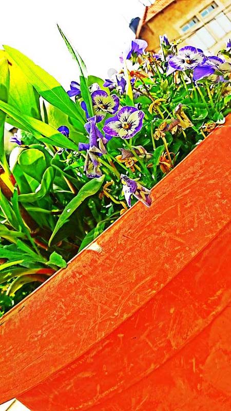 bntpal_1461511378_33
