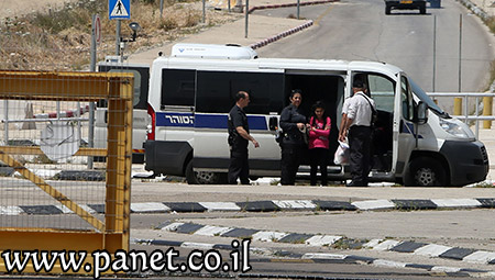   bntpal_1461572356_58