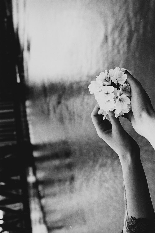 //~ bntpal_1461622939_87