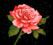  ❤❤ bntpal_1461828530_61