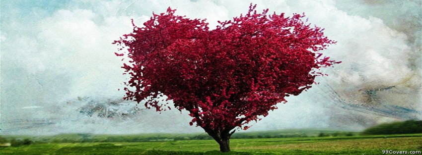 bntpal_1461984830_49