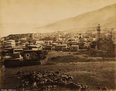  bntpal_1462192409_81