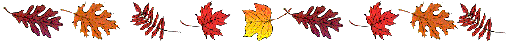  bntpal_1462283027_31