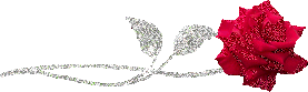  bntpal_1462283027_96
