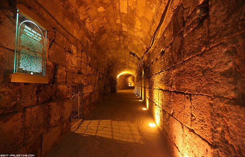 bntpal_1462374490_39