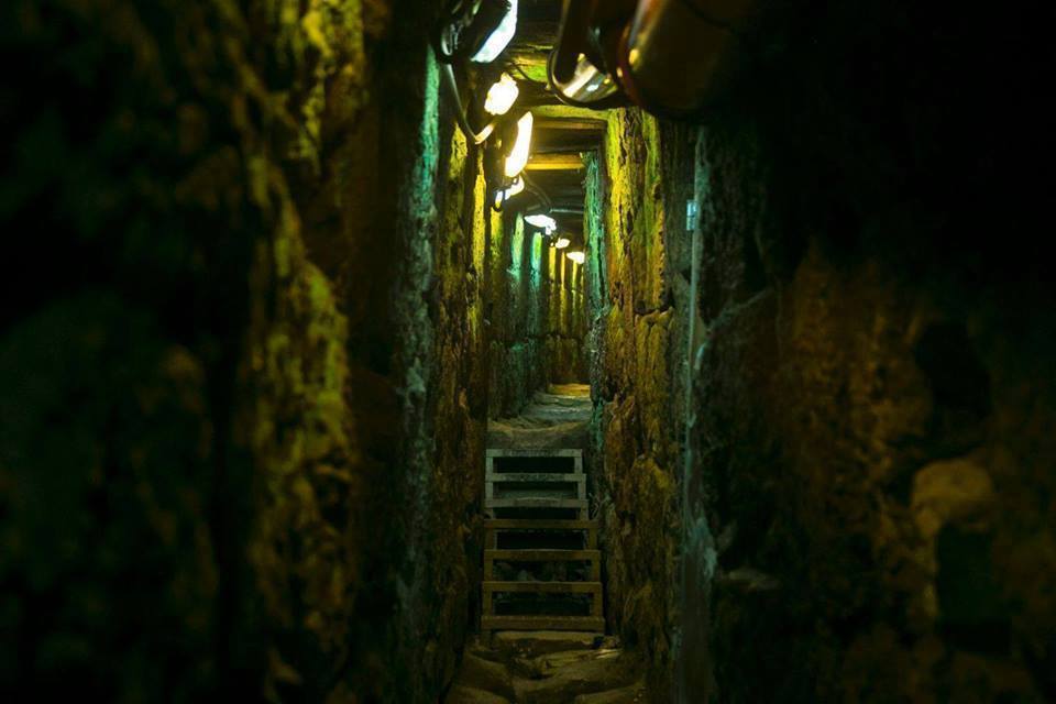 bntpal_1462374490_41