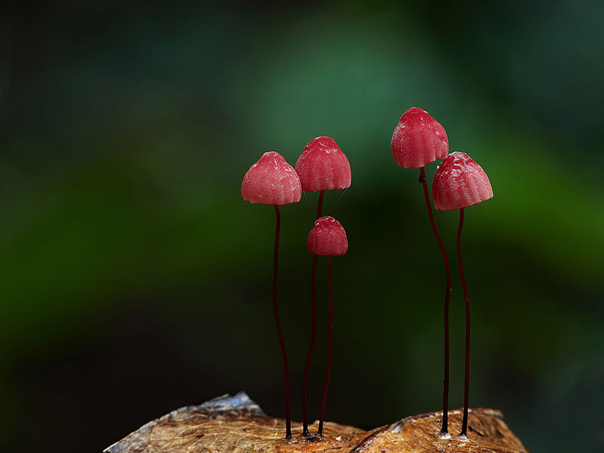 bntpal_1462378773_44
