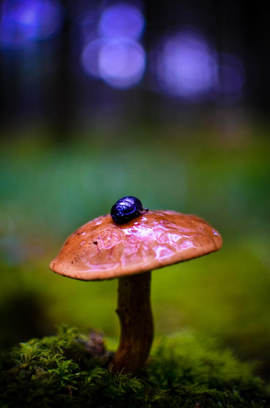 bntpal_1462378777_59