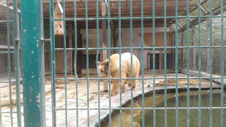  bntpal_1462452663_66