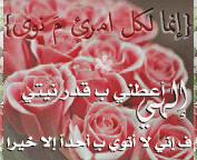 2016 bntpal_1462474098_49