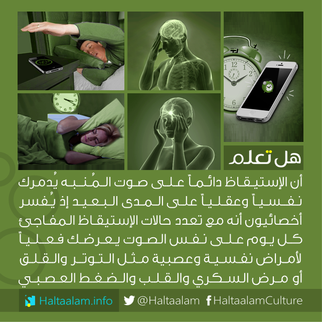 bntpal_1462544558_33