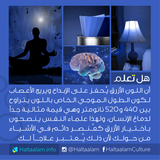 bntpal_1462544558_37