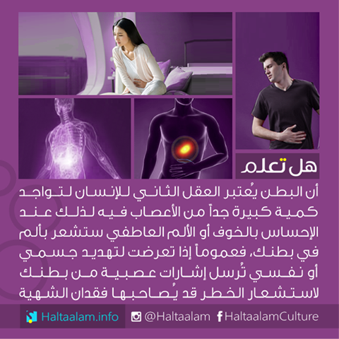 bntpal_1462544559_44