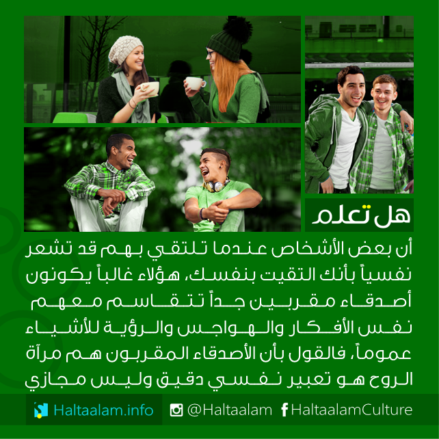 bntpal_1462544560_73