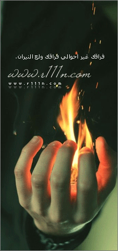  bntpal_1462611543_36