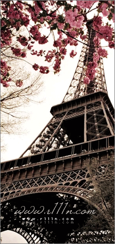  bntpal_1462611544_28