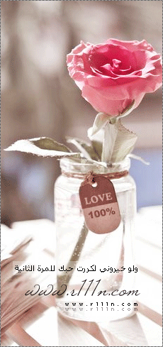  bntpal_1462611545_90