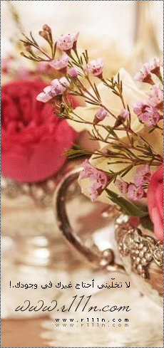  bntpal_1462611545_96