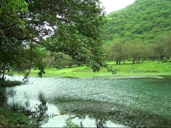 bntpal_1462768693_41