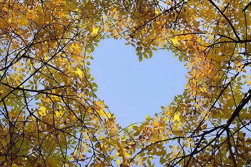 bntpal_1463152627_21