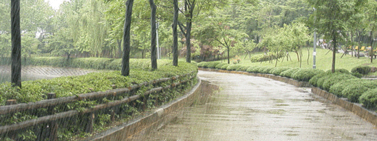  bntpal_1463171161_95
