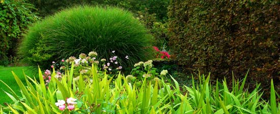 bntpal_1463243965_26
