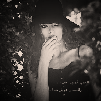 ٗ ۤۤ  bntpal_1463295270_60