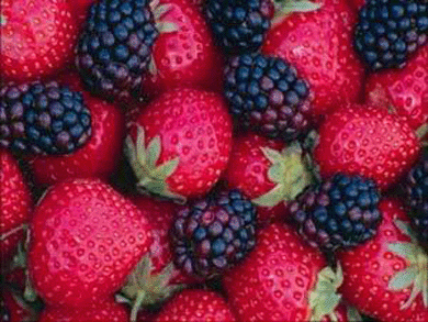 bntpal_1463322979_73