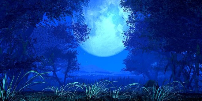   bntpal_1463579199_81