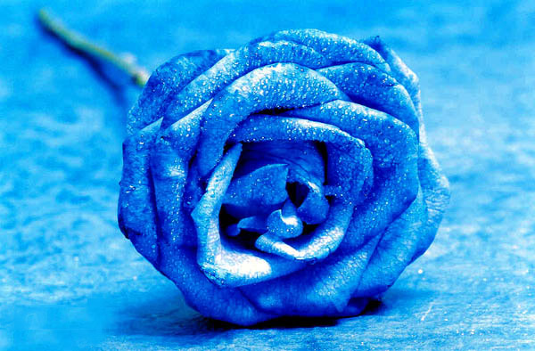   bntpal_1463579200_97