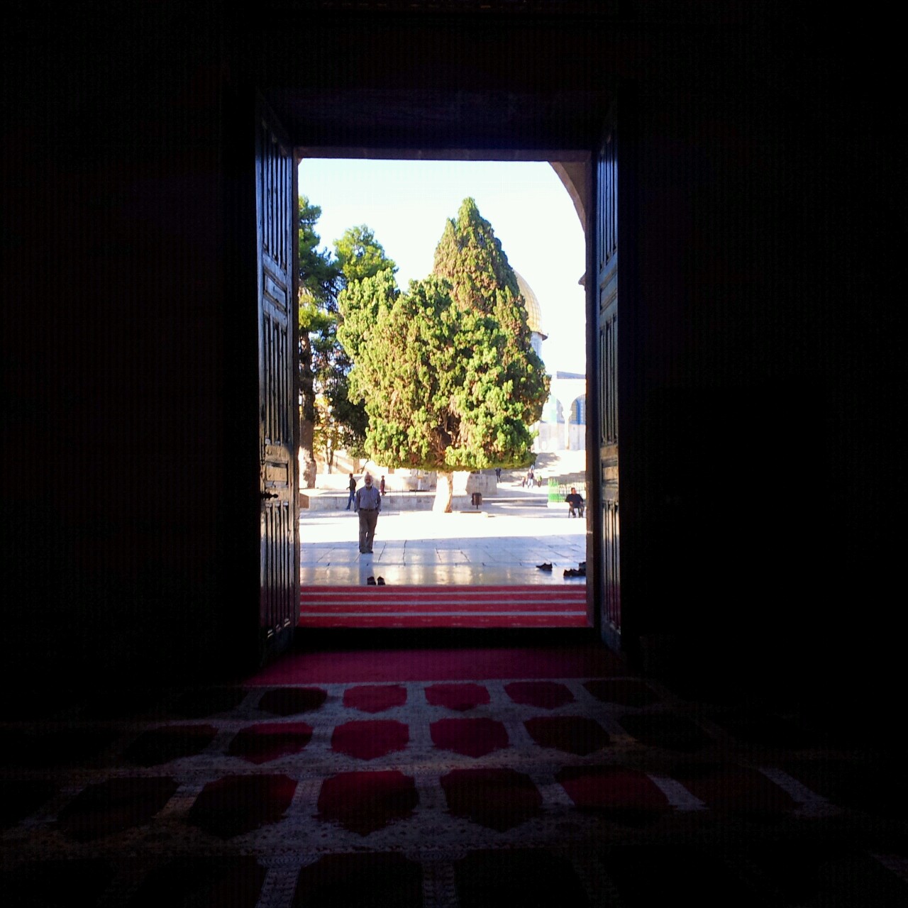 bntpal_1463805685_42