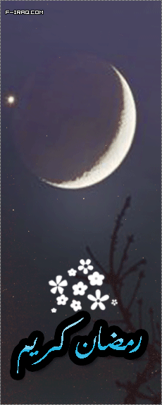  bntpal_1463813226_28