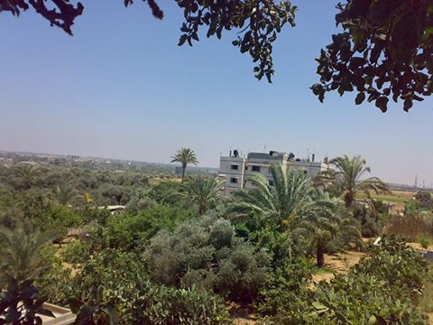   bntpal_1463900010_79