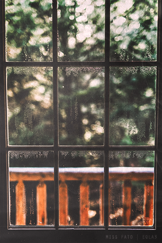bntpal_1463975342_48