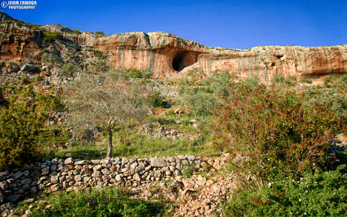  bntpal_1463983813_26