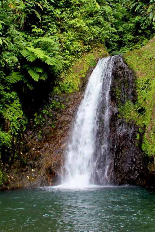 bntpal_1463991573_39