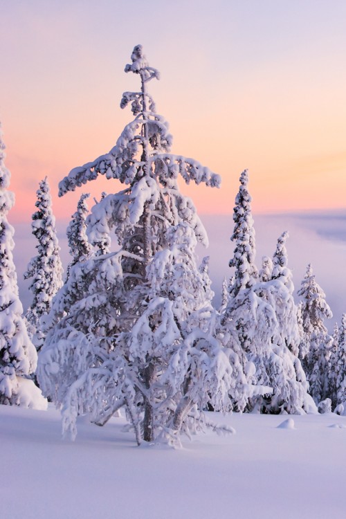 bntpal_1463991576_20