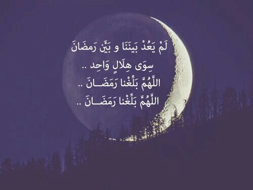 🙏 bntpal_1464166954_76