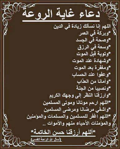 🙏 bntpal_1464166956_39