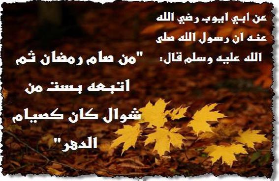 🙏 bntpal_1464166958_30