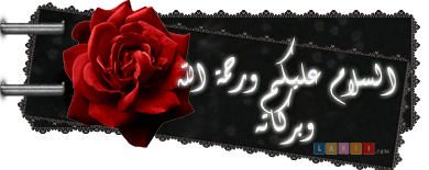    bntpal_1464213895_39