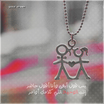 bntpal_1464244157_21
