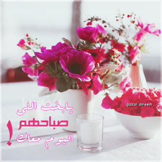 bntpal_1464244157_88