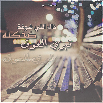 bntpal_1464244158_35