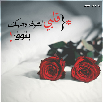 bntpal_1464244161_94