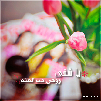 bntpal_1464244162_81