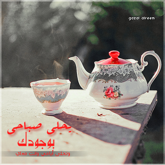 bntpal_1464244164_36