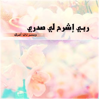 bntpal_1464244164_97